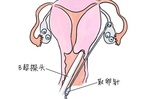 http://huizhou.huochezhan.net/post/205.html|惠州供卵助孕