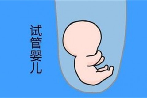 培养惠州捐卵宝宝艺术细胞的小技巧