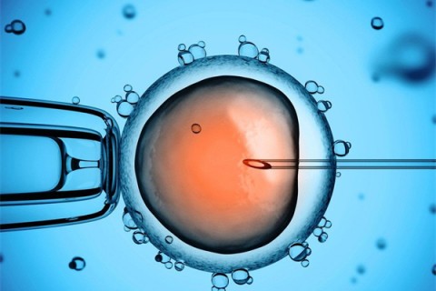 http://huizhou.huochezhan.net/post/199.html|惠州供卵助孕